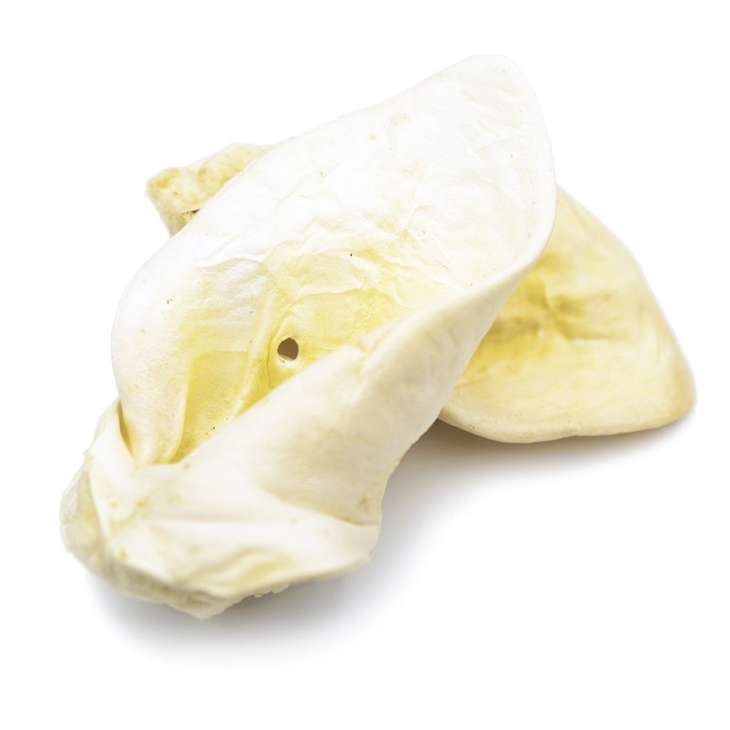 Oreja Blanqueada 1 ud