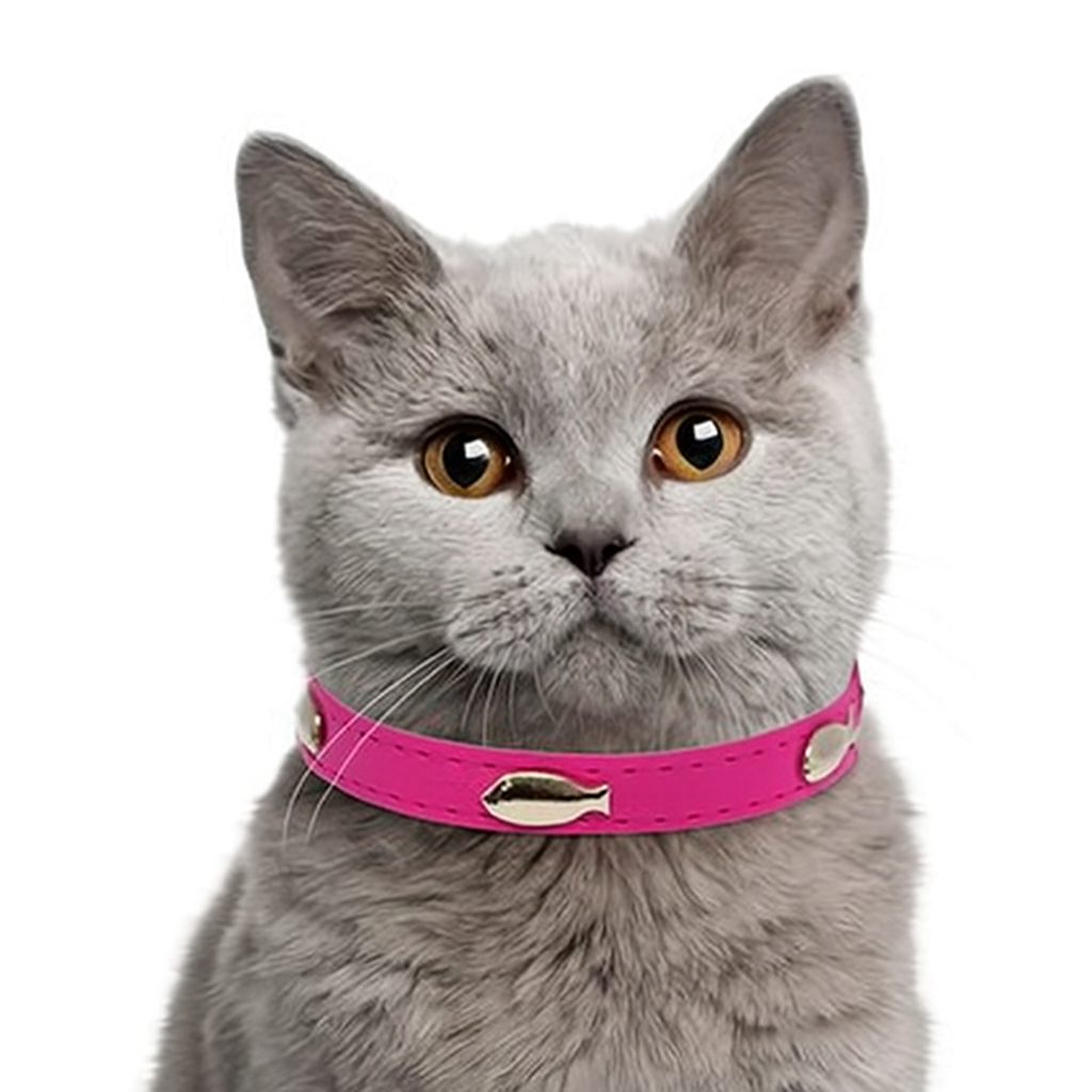 Felix Pink Cat Collar