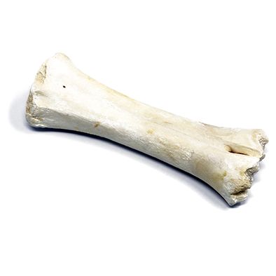 Calcium Bone 1 ud