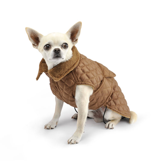 Sophie padding coat-Coats-Biozoo-Brown-25-Biozoopets