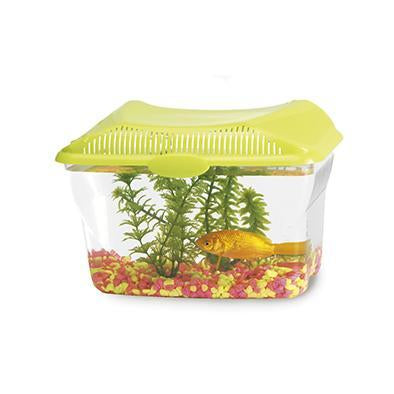 Aquarium 6L-Small Animals-Biozoo-Biozoopets