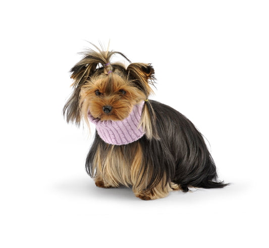 Aston Collar-Sweaters-Biozoo-Pink-8x8-Biozoopets