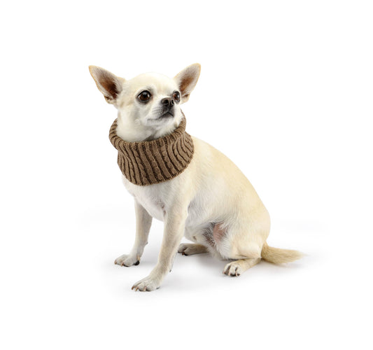 Aston Collar-Sweaters-Biozoo-Brown-8x8-Biozoopets
