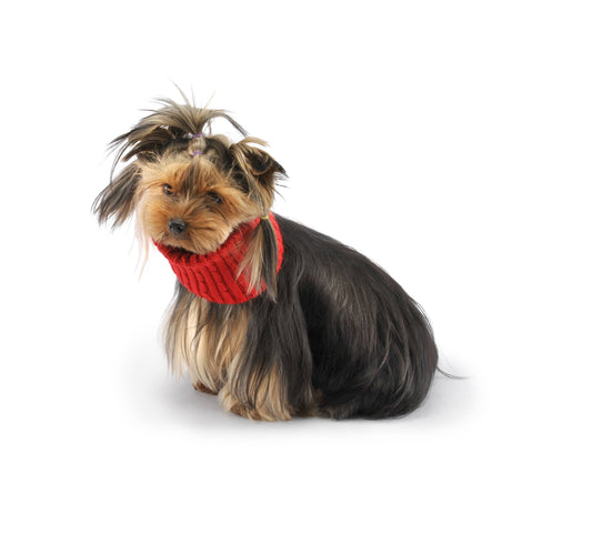 Aston Collar-Sweaters-Biozoo-Red-8x8-Biozoopets