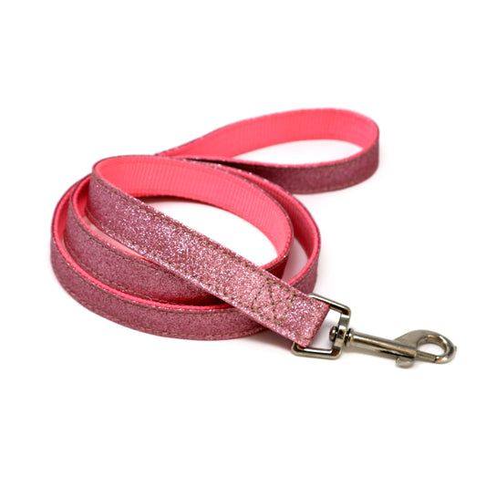 Ballet purpurin pink leash nylon-Prints-Biozoo-1,5 * 100 cm-Biozoopets