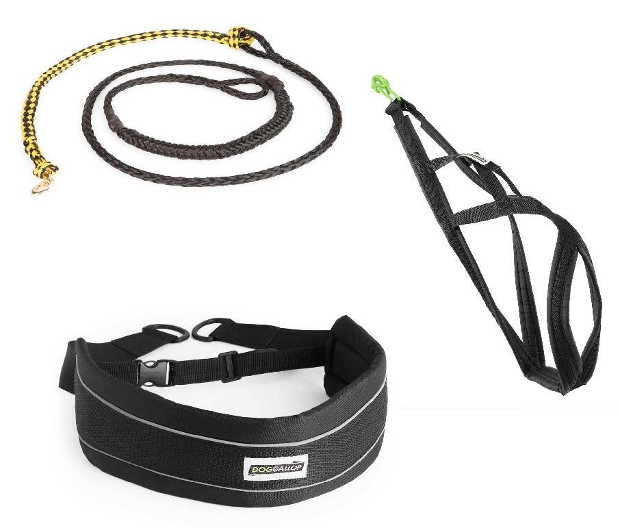 Kit Canicross-Outdoor & Sports-Biozoo-Biozoopets