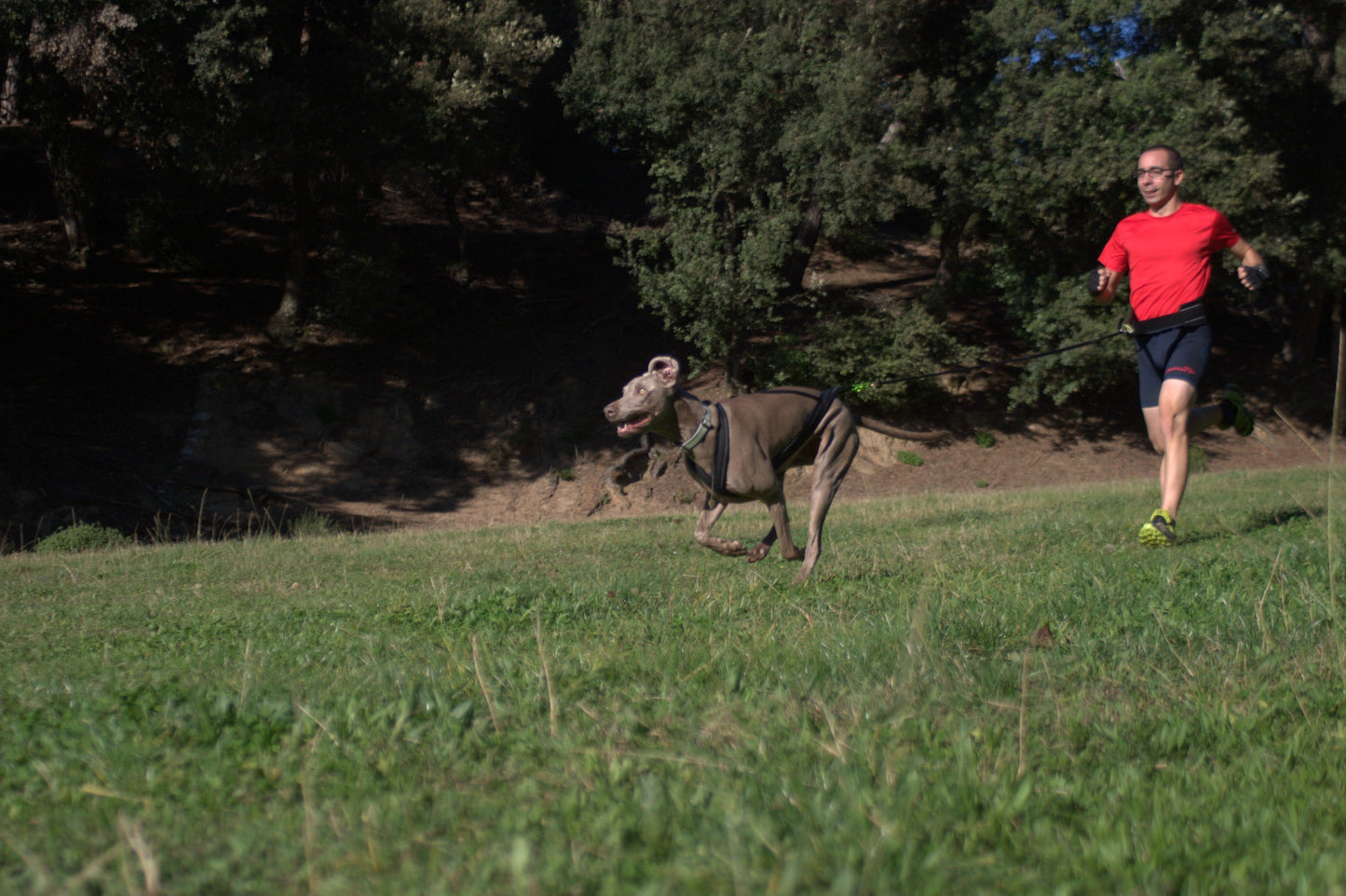 Kit Canicross-Outdoor & Sports-Biozoo-Biozoopets