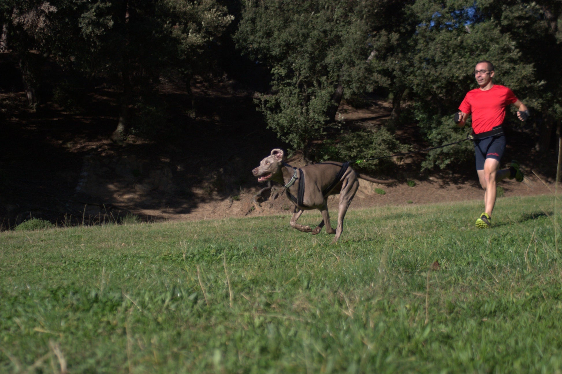 Kit Canicross-Outdoor & Sports-Biozoo-Biozoopets