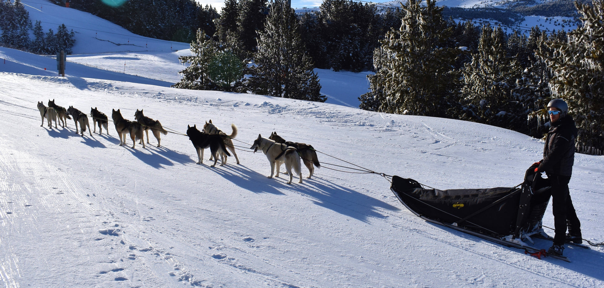 Kit Canicross-Outdoor & Sports-Biozoo-Biozoopets