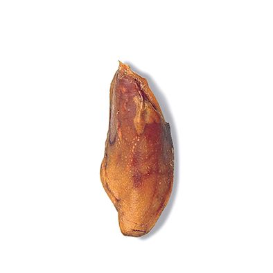 Desiccated Pork Ear 1 ud