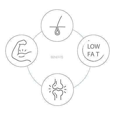 Rawhide stick twined by fish skin-Snacks-Biozoo-500-Biozoopets