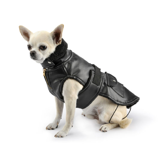 Rock coat-Coats-Biozoo-T.30-Biozoopets