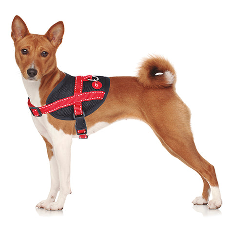 Red Breatheable Harness