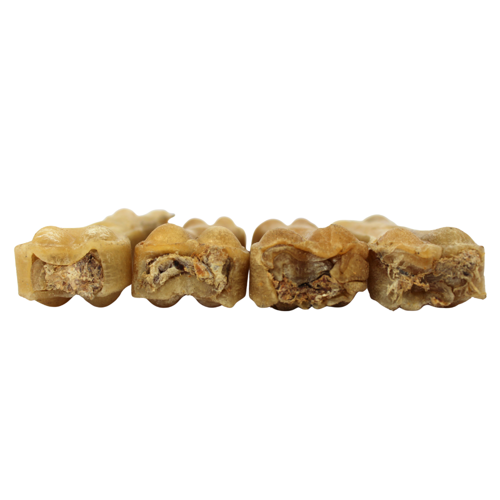 Pressed Bone filed with Bull Pizzle