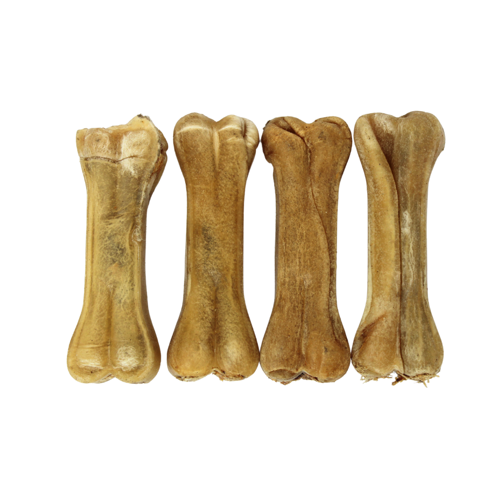 Pressed Bone filed with Bull Pizzle