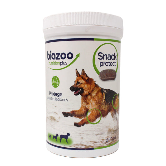 Condro Dog 250 ml