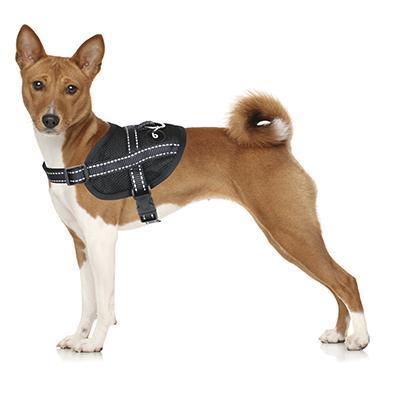Agil Black Harness-Collars &Leashes-Biozoo-Biozoopets