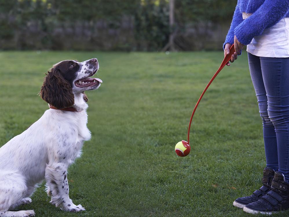 Ball thrower 50 cm-Toys-Biozoo-Biozoopets