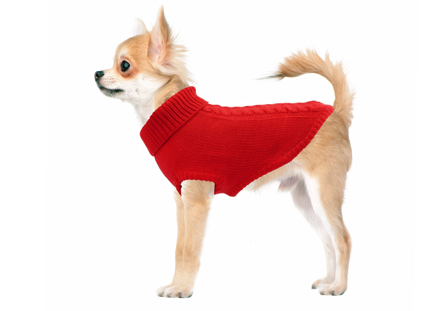 Jumper with braid-Sweaters-Biozoo-Red-15-Biozoopets