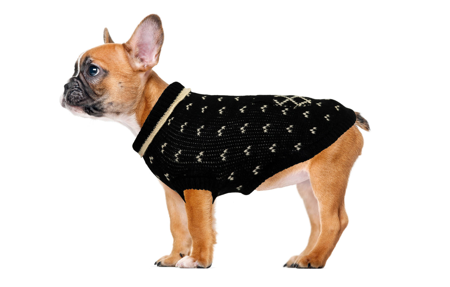 Jumper with sprig-Sweaters-Biozoo-Black-15-Biozoopets