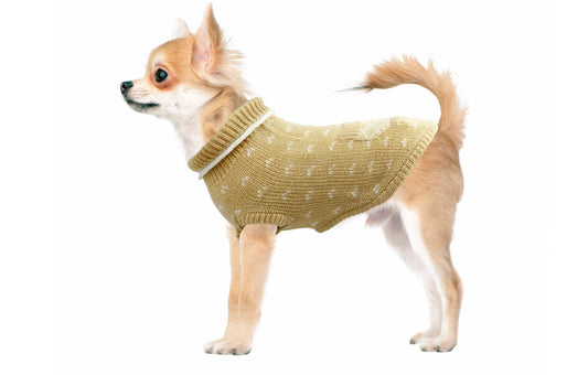 Jumper with sprig-Sweaters-Biozoo-Beige-15-Biozoopets