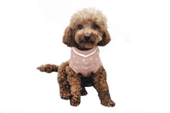 Jumper with sprig-Sweaters-Biozoo-Pink-15-Biozoopets