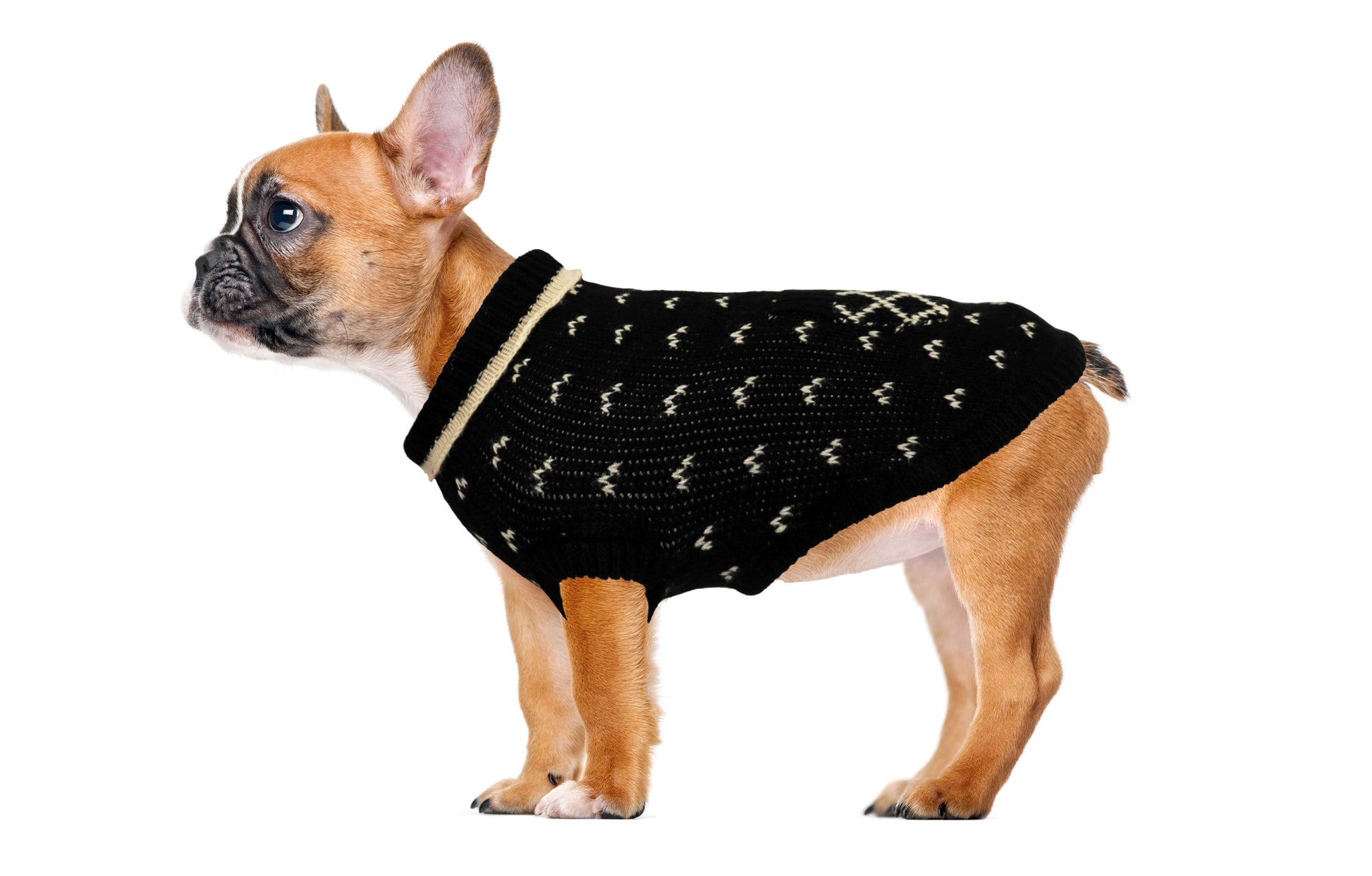 Jumper with sprig-Sweaters-Biozoo-Black-15-Biozoopets