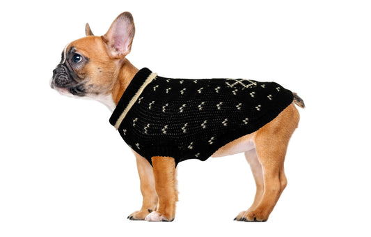 Jumper with sprig-Sweaters-Biozoo-Black-15-Biozoopets