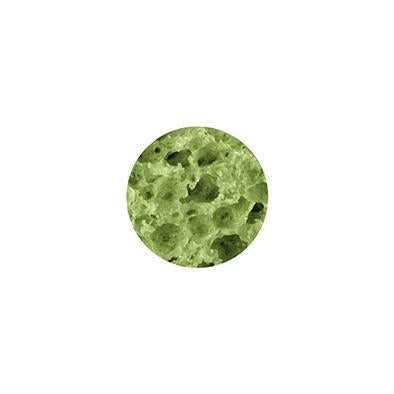Spinach crunchy dental-Snacks-Biozoo-500-Biozoopets