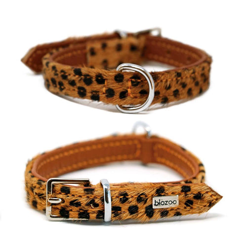 Animal Print Leather Collar-Collar-Biozoo-25 x 1,5-Papua-Biozoopets