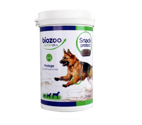 Condro Dog 250 ml-Nutraceuticals-Biozoo-Biozoopets