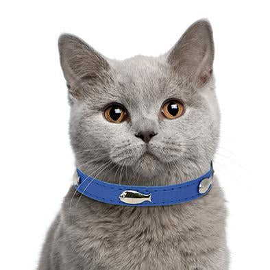 Felix Blue Cat Collar-Collars-Biozoo-Biozoopets