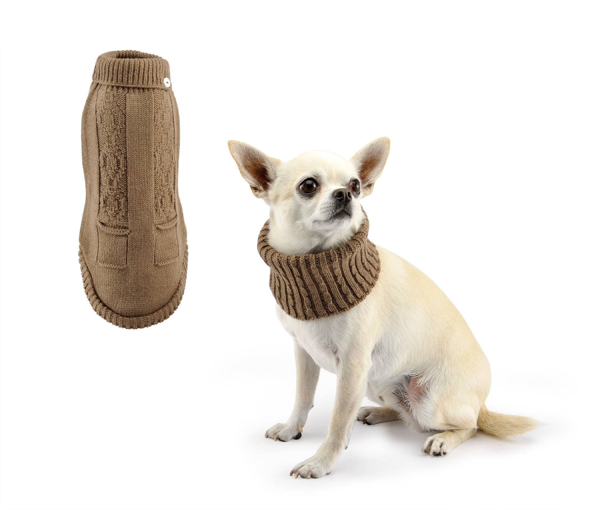 Jumper two borders and button-Sweaters-Biozoo-Brown-20-Biozoopets